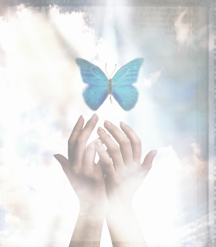Julie Shematz: Beauty From Ashes™